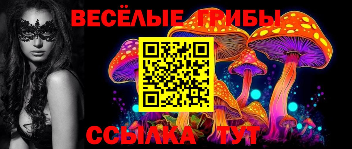 Псилоцибиновые грибы мицелий Химки