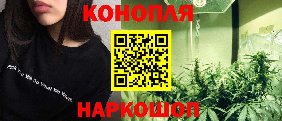 Химки  МАРИХУАНА White Widow  Шишки марихуана White Widow  Конопля White Widow  Бошки марихуана планчик  Вход с VPN 